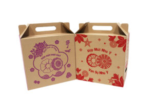 hộp giấy carton có quai xách