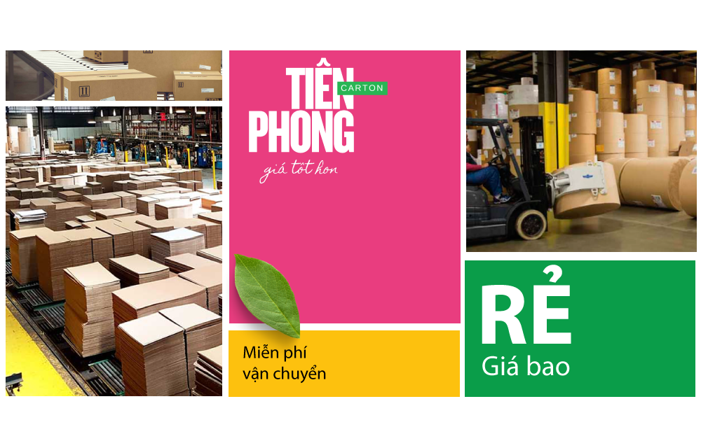 carton tien phong 1